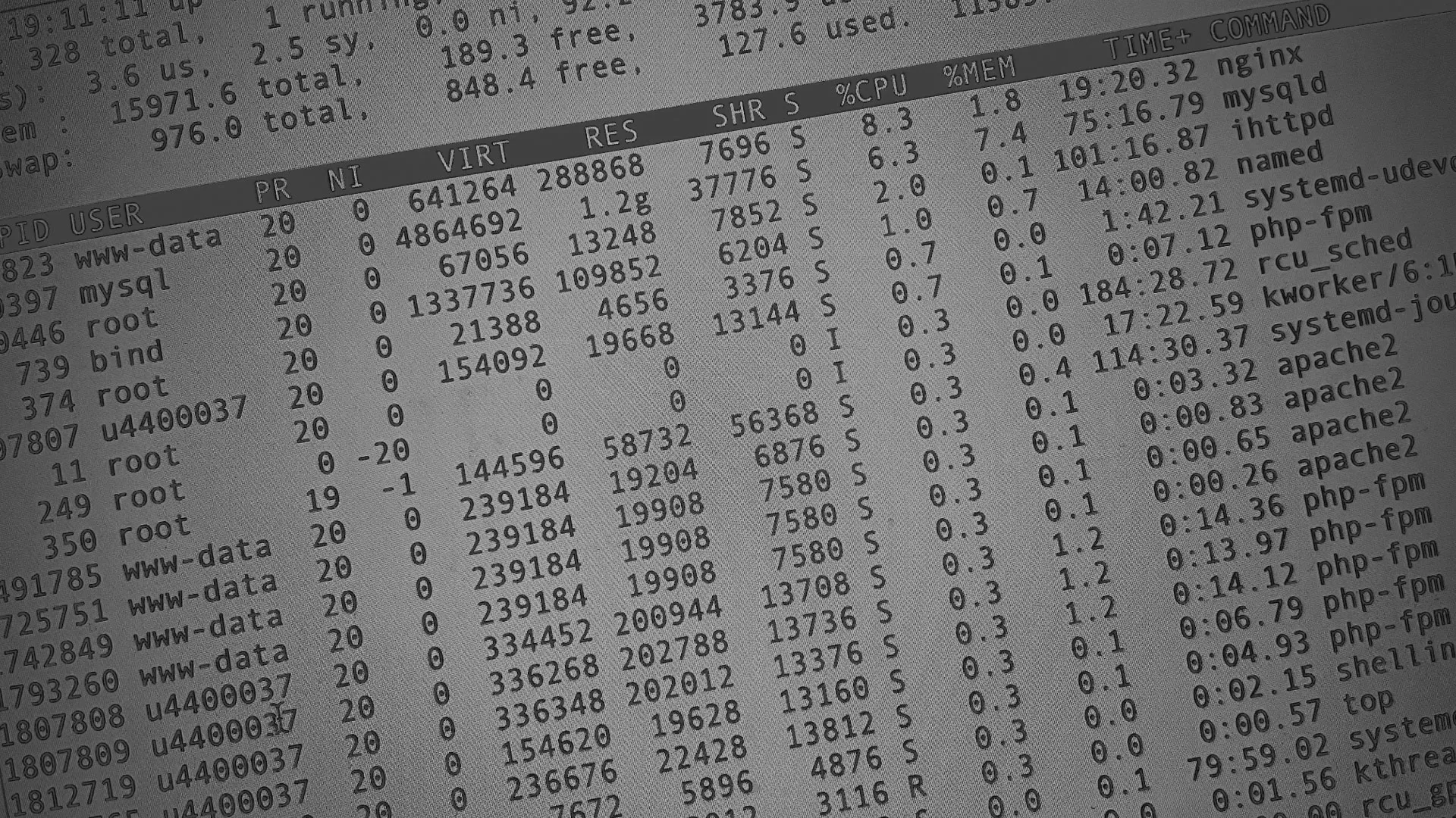 Настройка сервера в Истре Настройка сервера в Истре