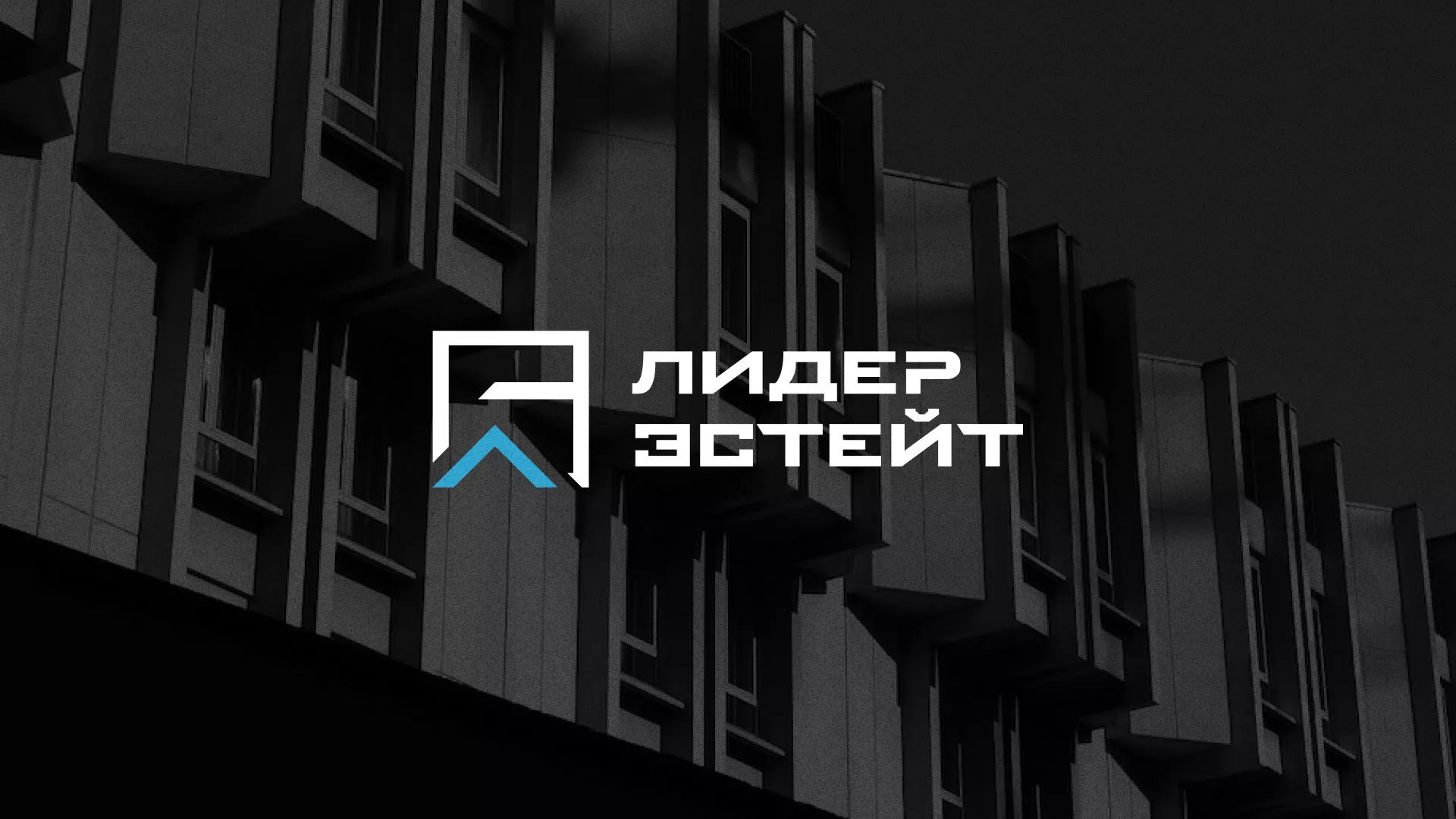 Разработка логотипа агентства недвижимости «Лидер Эстейт» в Истре